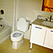 Bathroom 2 (before renovation)