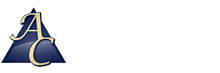 Alleva Construction